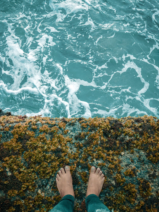 Healthy Ocean and Tide Pool