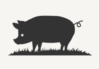 Animated Singing Pastures Logo