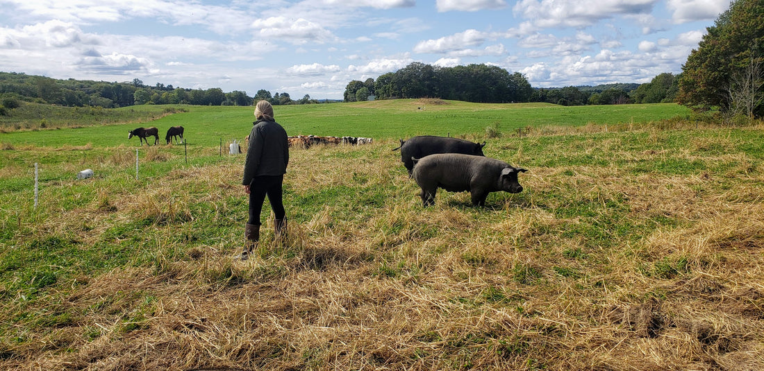 Woman in healthy pastures with pigs, cows, & horses