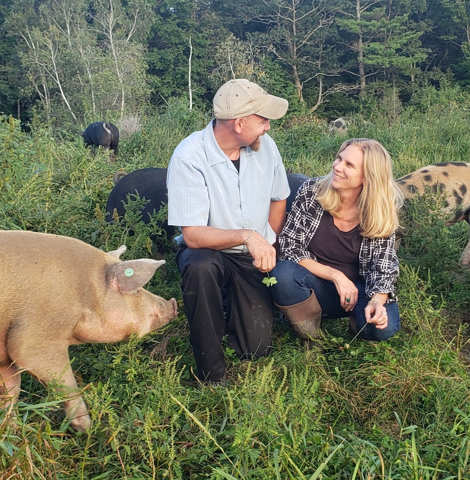 Holly and Jon sitting on a grassy field with pigs in the background