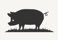 Singing Pastures logo